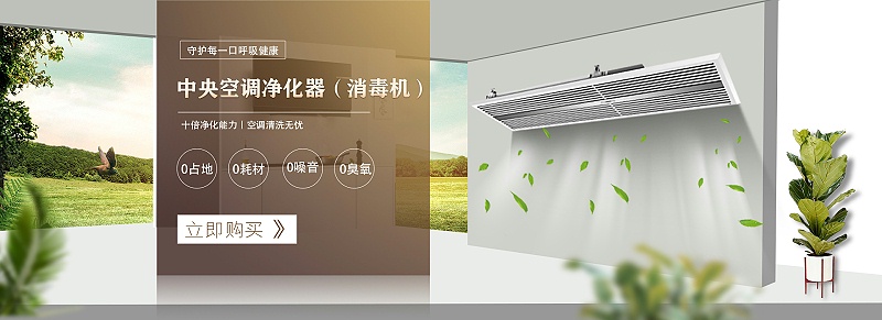 微靜電殺菌消毒電子凈化設(shè)備